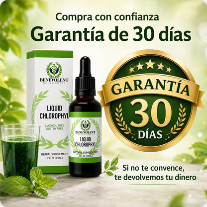 Desinflama tu cuerpo y elimina el mal aliento desde la primera semana 🌿