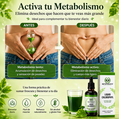 Desinflama tu cuerpo y elimina el mal aliento desde la primera semana 🌿